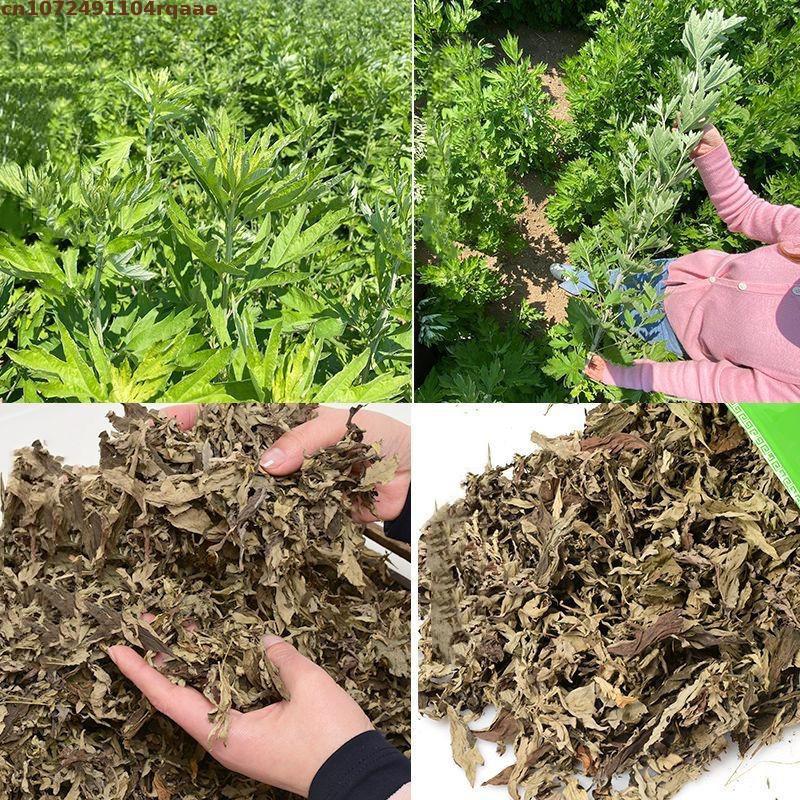 100% натуральный сушеный Ай-тс – обзор и цена Chamomile Tea